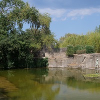 Photo de France - Le Jardin de Saint-Adrien : une oasis de verdure